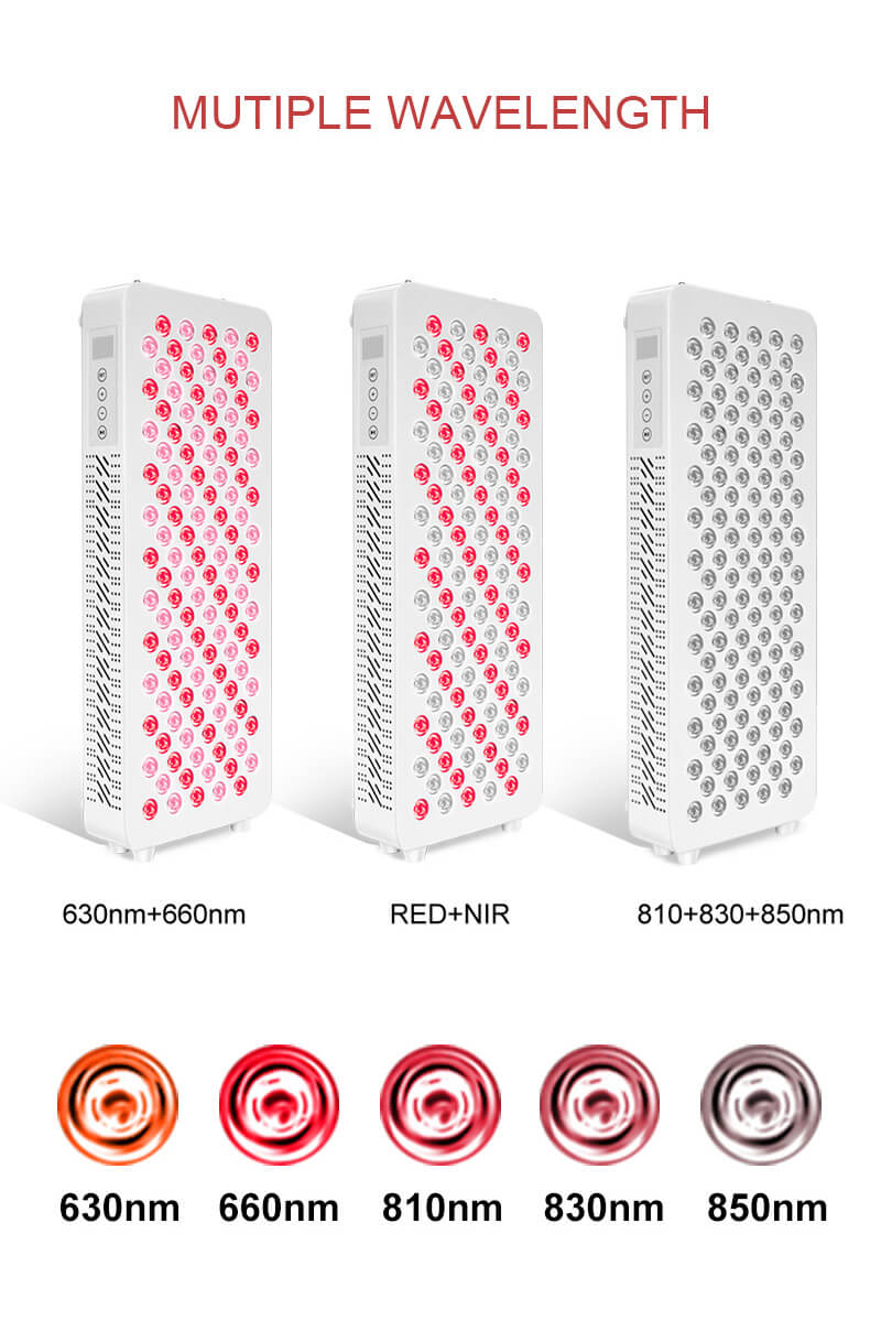 LED Therapy Essentials Bundle