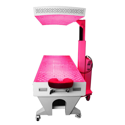 2 panel red light therapy bed